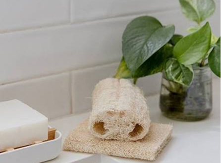 Loofah